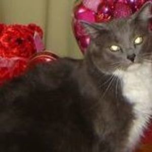 Meet your Posher, Sonia